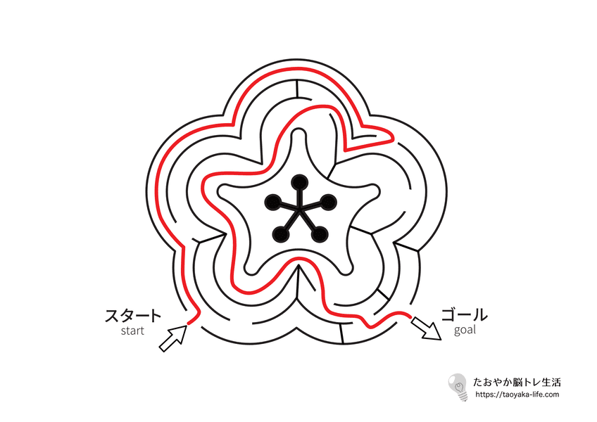 迷路 4 「梅の花の形」の答え